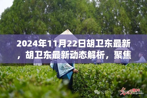 胡卫东最新动态及未来展望，聚焦要点解析未来发展之路（2024年11月22日）