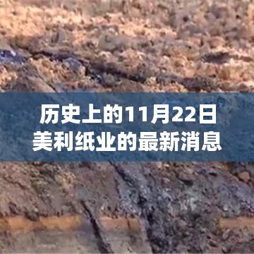 美利纸业新篇章，历史上的11月22日见证变革与自信的力量