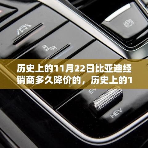 历史上的11月22日比亚迪产品降价策略深度解析，特性、使用体验与竞品对比
