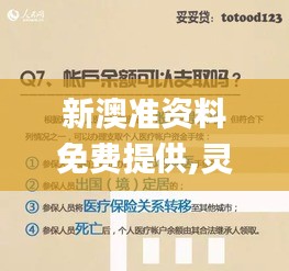 新澳准资料免费提供,灵活性执行方案_魂银版QKC2.67