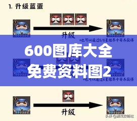 600图库大全免费资料图2,全面细致的解答_升级版XSG2.37