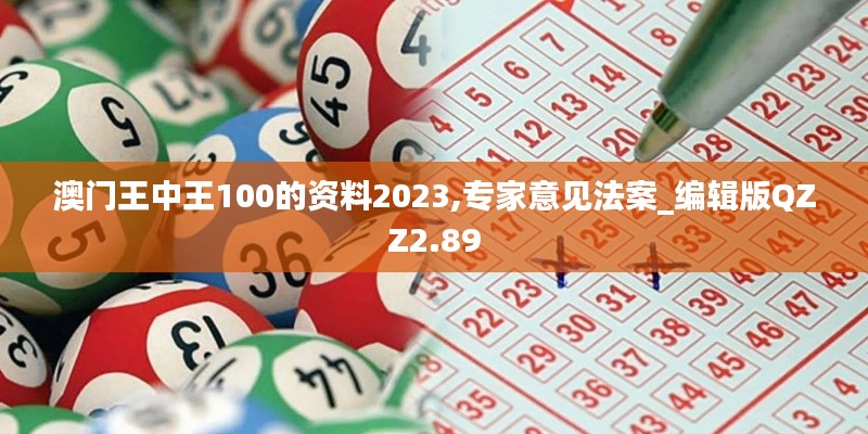 澳门王中王100的资料2023,专家意见法案_编辑版QZZ2.89
