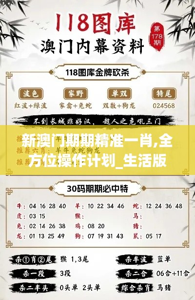 新澳门期期精准一肖,全方位操作计划_生活版TAN2.41
