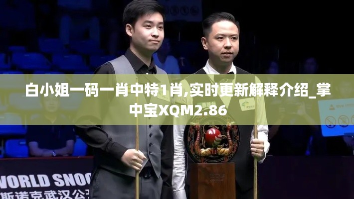 白小姐一码一肖中特1肖,实时更新解释介绍_掌中宝XQM2.86