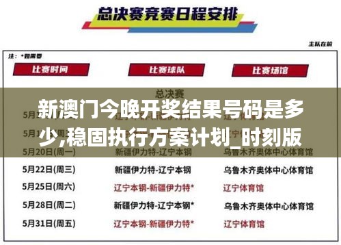 新澳门今晚开奖结果号码是多少,稳固执行方案计划_时刻版RYF2.55