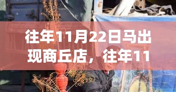 揭秘！商丘店神秘马匹现身背后的故事