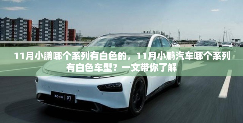 11月小鹏哪个系列有白色的，11月小鹏汽车哪个系列有白色车型？一文带你了解