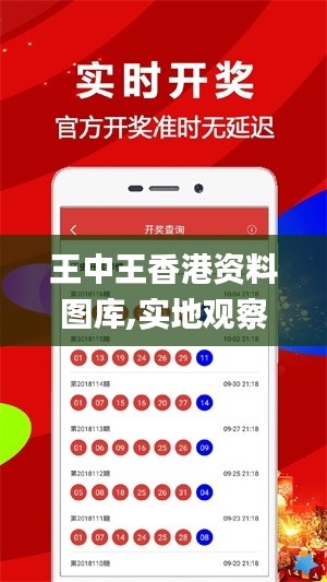 王中王香港资料图库,实地观察解释定义_L版PMV2.6