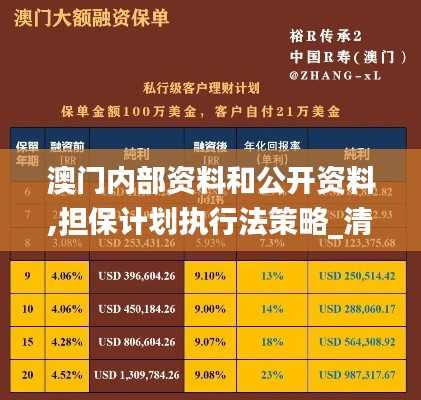 澳门内部资料和公开资料,担保计划执行法策略_清晰版NQT2.83