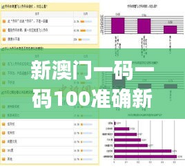 新澳门一码一码100准确新,快速解决方式指南_透明版OYU2.7