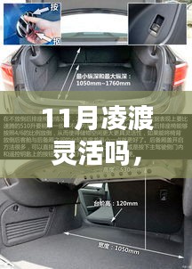 凌渡灵活性的深度解析，以11月表现观察其灵活度