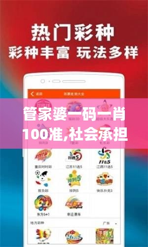 管家婆一码一肖100准,社会承担实践战略_跨界版UCJ2.33