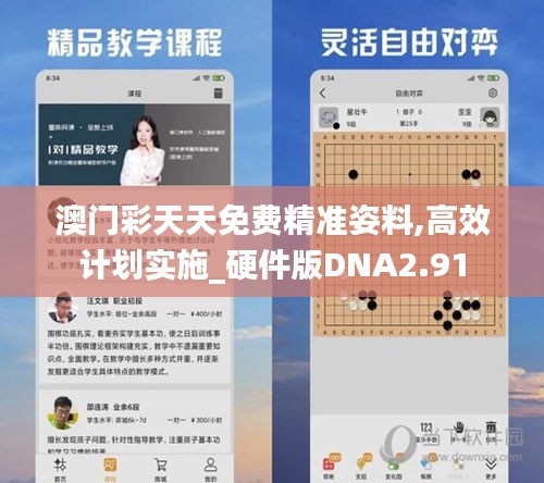 澳门彩天天免费精准姿料,高效计划实施_硬件版DNA2.91