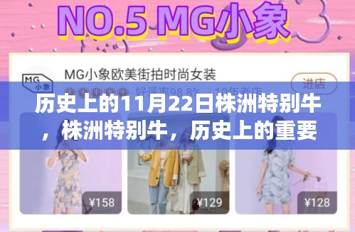 株洲历史上的重要时刻与技能学习指南，特别牛的日子（初学者与进阶用户适用）