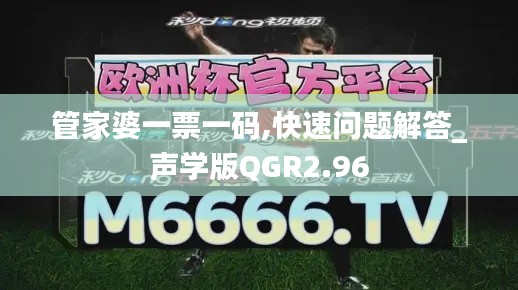 管家婆一票一码,快速问题解答_声学版QGR2.96