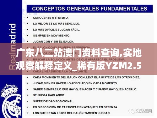 广东八二站澳门资料查询,实地观察解释定义_稀有版YZM2.50