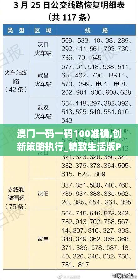 澳门一码一码100准确,创新策略执行_精致生活版PGZ2.14