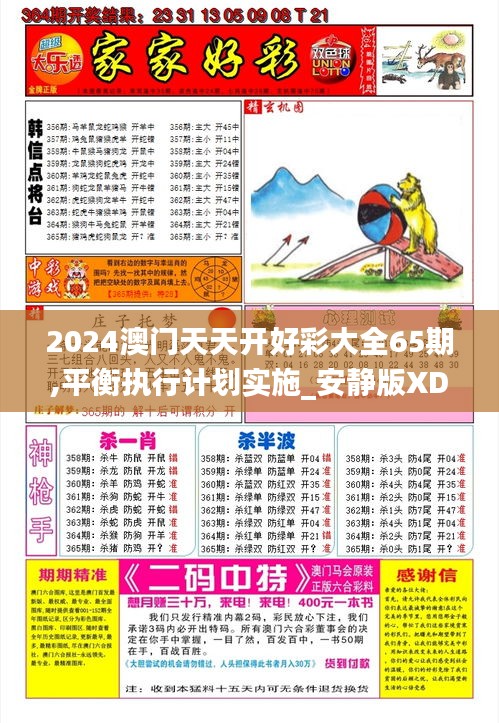2024澳门天天开好彩大全65期,平衡执行计划实施_安静版XDB2.51