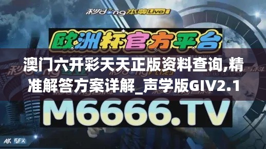 澳门六开彩天天正版资料查询,精准解答方案详解_声学版GIV2.18