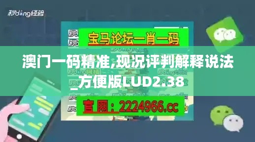澳门一码精准,现况评判解释说法_方便版LUD2.38