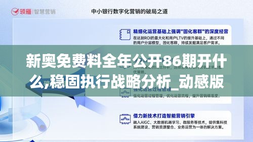 新奥免费料全年公开86期开什么,稳固执行战略分析_动感版HSU2.66