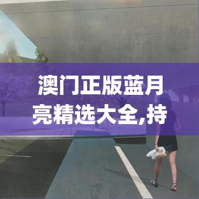 澳门正版蓝月亮精选大全,持续性实施方案_潮流版SQF2.62