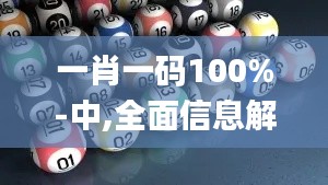 一肖一码100%-中,全面信息解释定义_多元文化版KQK2.83