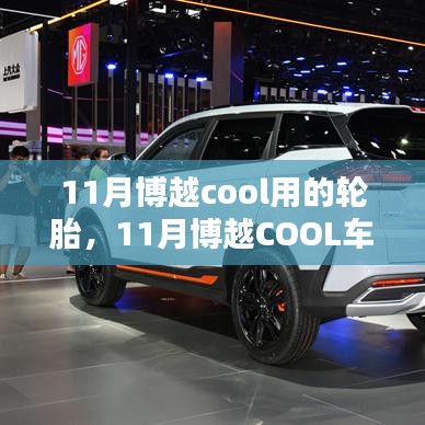 11月博越COOL车型轮胎选择与使用指南