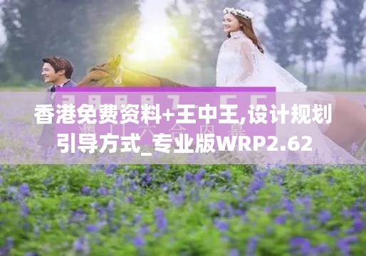 香港免费资料+王中王,设计规划引导方式_专业版WRP2.62