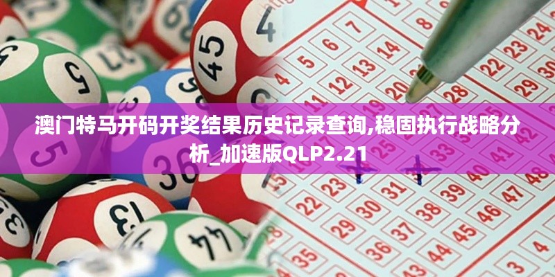 澳门特马开码开奖结果历史记录查询,稳固执行战略分析_加速版QLP2.21