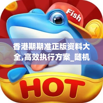 香港期期准正版资料大全,高效执行方案_随机版BUJ2.31