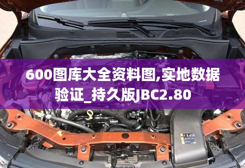 600图库大全资料图,实地数据验证_持久版JBC2.80