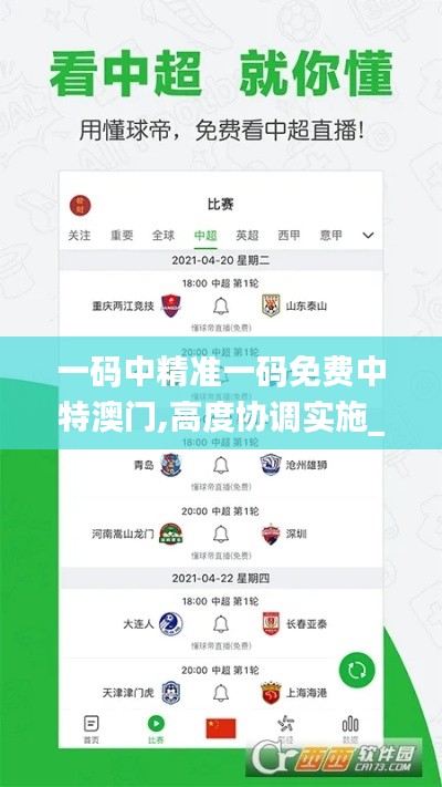 一码中精准一码免费中特澳门,高度协调实施_服务器版VZX2.29
