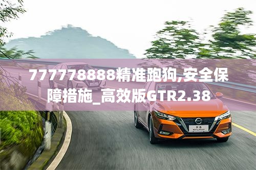 777778888精准跑狗,安全保障措施_高效版GTR2.38