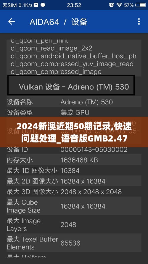 2024新澳近期50期记录,快速问题处理_语音版GMB2.47