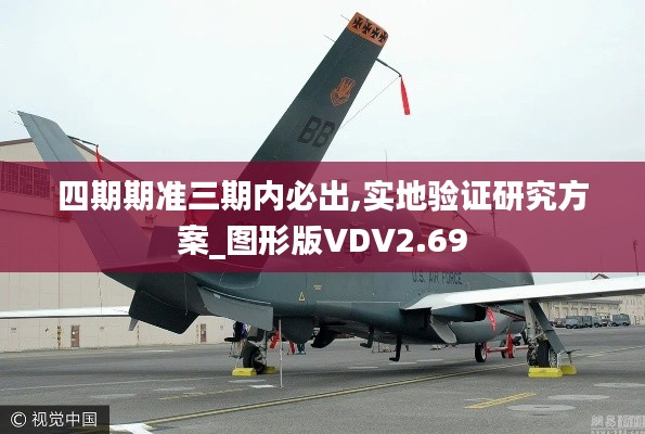 四期期准三期内必出,实地验证研究方案_图形版VDV2.69