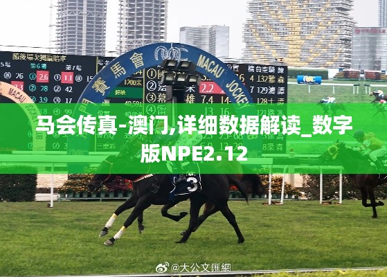 马会传真-澳门,详细数据解读_数字版NPE2.12