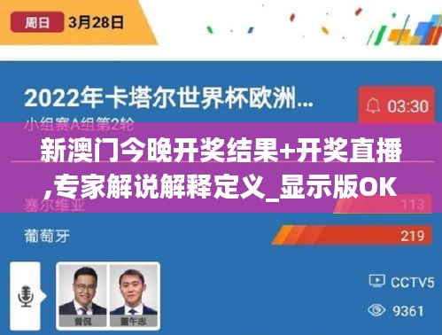 新澳门今晚开奖结果+开奖直播,专家解说解释定义_显示版OKH2.60