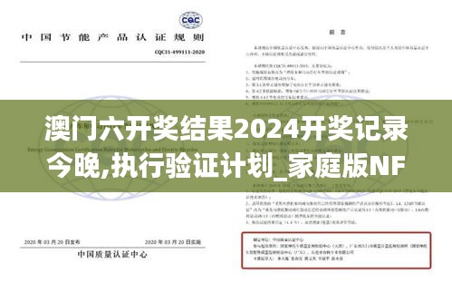 澳门六开奖结果2024开奖记录今晚,执行验证计划_家庭版NFC2.69
