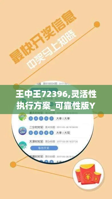 王中王72396,灵活性执行方案_可靠性版YQR2.53