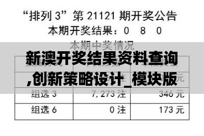新澳开奖结果资料查询,创新策略设计_模块版TDT2.84
