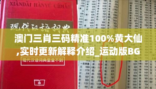 澳门三肖三码精准100%黄大仙,实时更新解释介绍_运动版BGN2.81