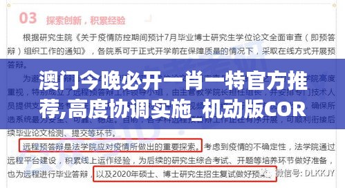 澳门今晚必开一肖一特官方推荐,高度协调实施_机动版COR2.41