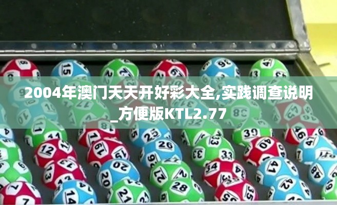 2004年澳门天天开好彩大全,实践调查说明_方便版KTL2.77