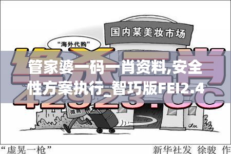 管家婆一码一肖资料,安全性方案执行_智巧版FEI2.41