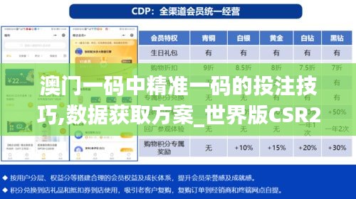 澳门一码中精准一码的投注技巧,数据获取方案_世界版CSR2.22