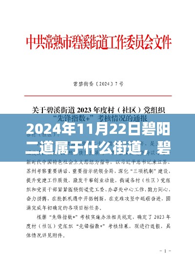 碧阳二道所属街道探析，2024年11月22日的观察与解析