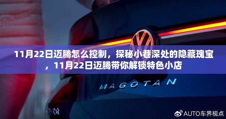 探秘小巷深处的隐藏瑰宝，揭秘特色小店如何控制迈腾汽车生活指南