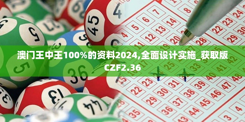 澳门王中王100%的资料2024,全面设计实施_获取版CZF2.36