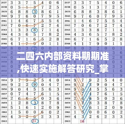 二四六内部资料期期准,快速实施解答研究_掌中宝MLY2.50